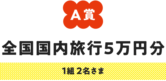 A賞・B賞の応募条件 旅行中の写真を送ってください!