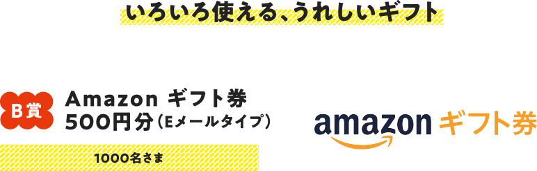 いろいろ使える、うれしいギフト B賞 Amazon ギフト券 3,000円分100名さま