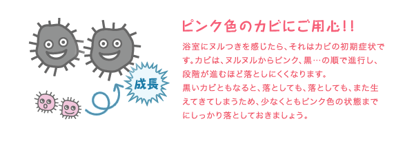 ピンク色のカビにご用心！