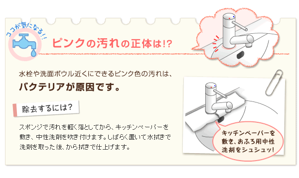 ピンク汚れの正体は！？