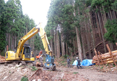 里山体験