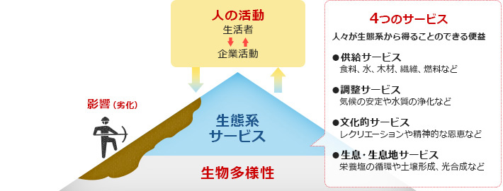 生物多様性保全の考え方