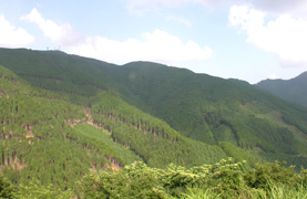 兵庫県朝来市市有林森林管理プロジェクト対象森林