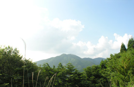 兵庫県朝来市市有林森林管理プロジェクト対象森林