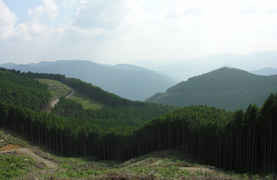 兵庫県朝来市市有林森林管理プロジェクト対象森林