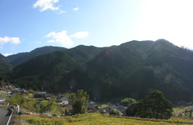 兵庫県東河内生産森林組合森林管理プロジェクト対象森林