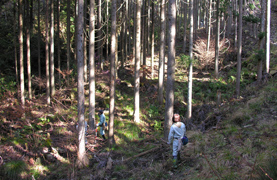 兵庫県東河内生産森林組合森林管理プロジェクト対象森林