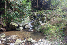 兵庫県養父市市有林森林管理プロジェクト 対象森林