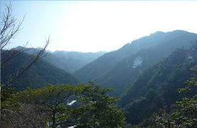神戸市有野更生農業協同組合森林管理プロジェクト対象森林