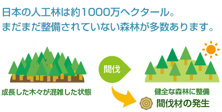 日本の森林について