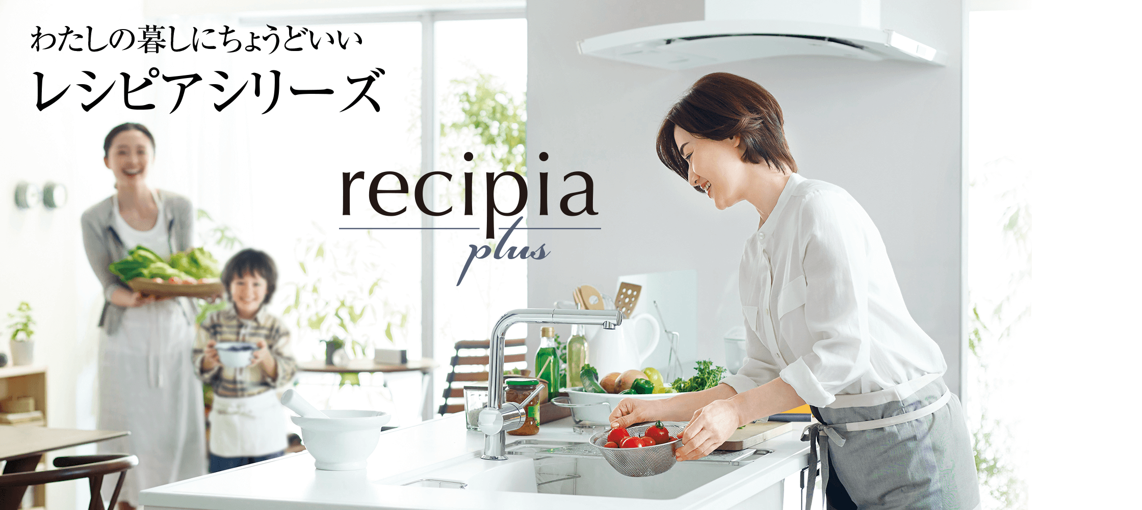 わたしの暮しにちょうどいいレシピアシリーズ resipia plus