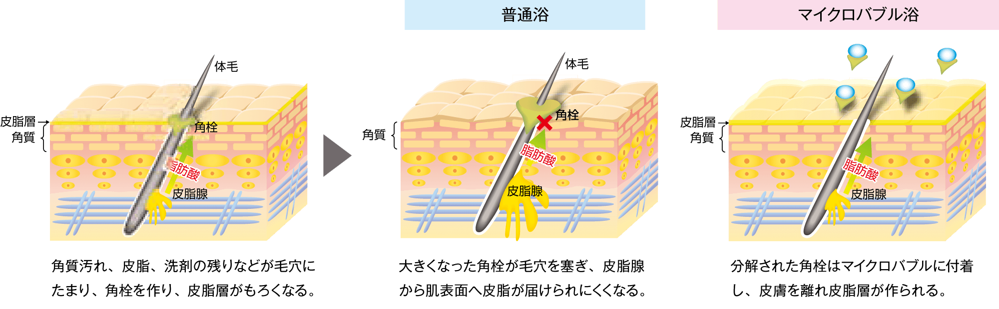 普通浴とマイクロバブル浴の違い