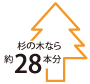 杉の木なら約28本分