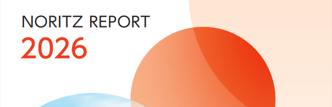 NORITZ report