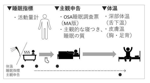 実験の様子