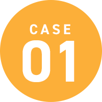 CASE 01