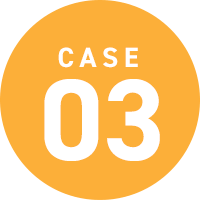 CASE 03